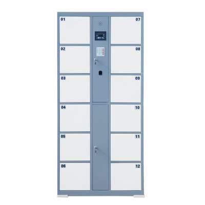 metal automatic electronic smart parcel fingerprint locker